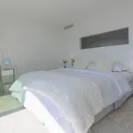Paradise