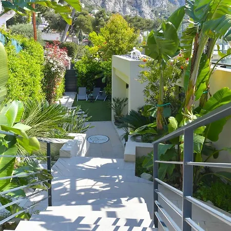 Paradise * Eze